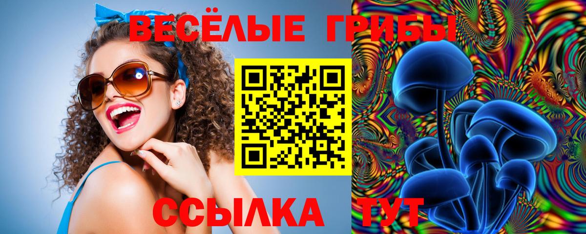Псилоцибиновые грибы Psilocybine cubensis Екатеринбург